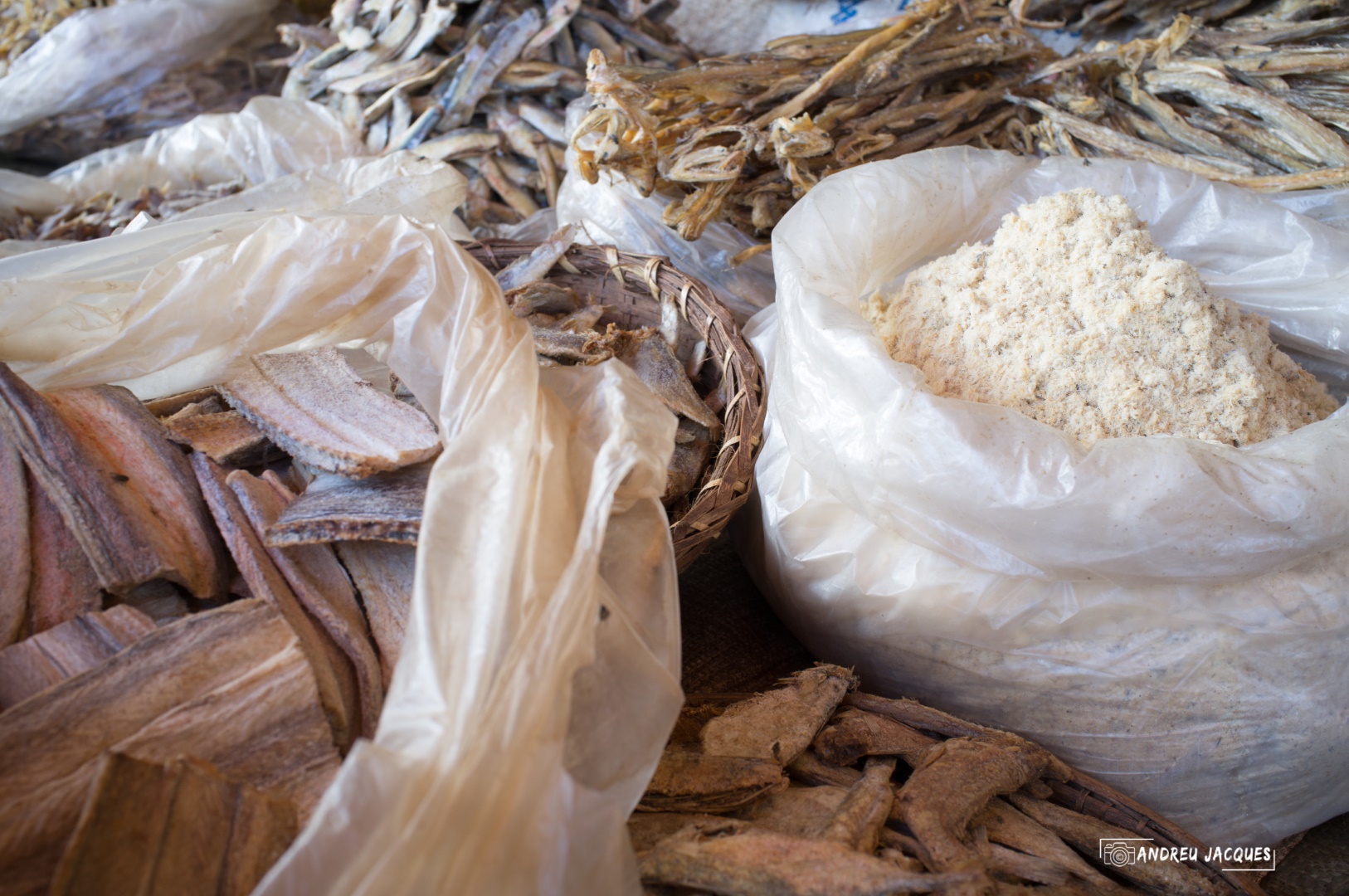 birmanie-155 (Grand).jpg